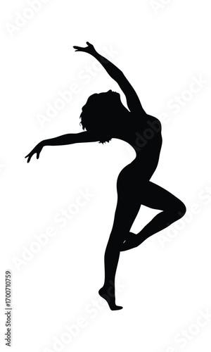 Elegant Female Dancer Silhouette in Ballet Pose
