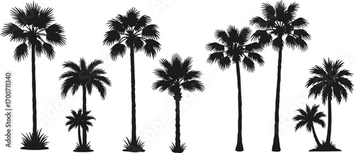Silhouette collection of tropical palm trees in various shapes and sizes, perfect for summer, beach, travel, and exotic nature vector design
