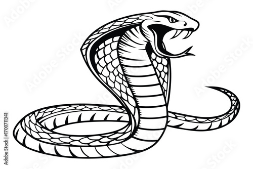 Striking Cobra Serpent Illustration Depicting Power Danger and Mystique A Bold Symbol of Transformation and Instinctual Wisdom Black and White