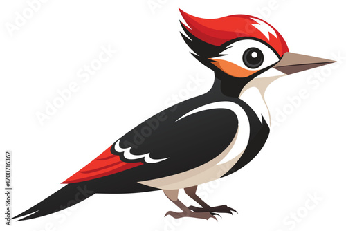 Cartoon Woodpecker Illustration with Bright Red Crest Feathers and a Sharp Beak Perched on a White Background