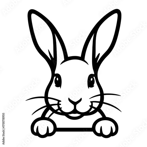 Rabbit Peeking