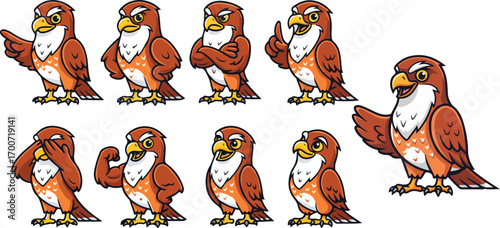 vector illustration of hawk bird funny cute cartoon mascot character cartoon with 9 poses 