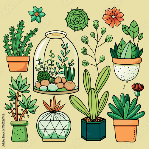 Succulent Plants and Garden Flowers Botanical Illustration Set with Terrariums and Floral Decor
