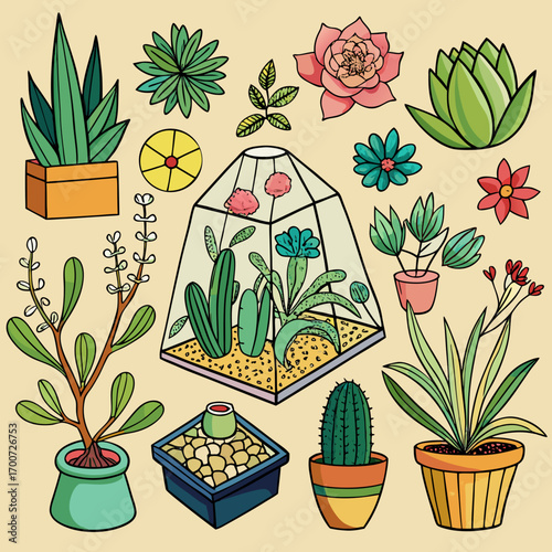 Succulent Plants and Garden Flowers Botanical Illustration Set with Terrariums and Floral Decor
