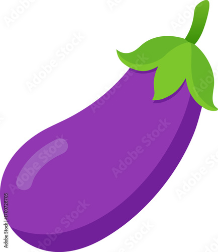 Brinjal colorful icon vector on white background