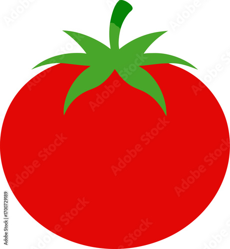 Tomato colorful icon vector on white background  