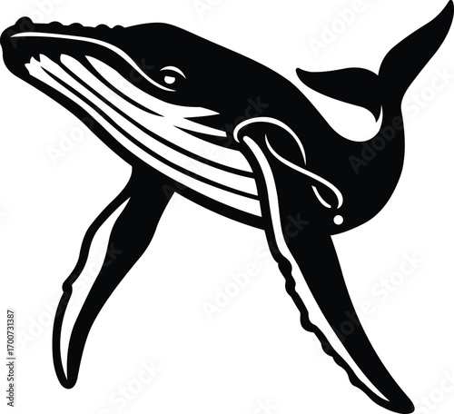 Humpback whale silhouette black and white, Marine life whale vector illustration