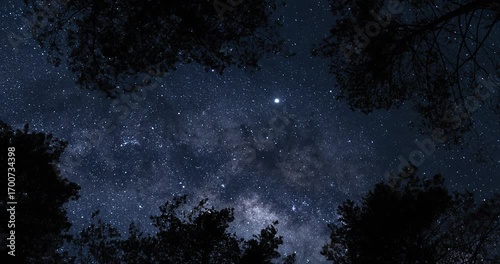 View from earth on Milky Way from forest. Timelapse shot, Earth rotation concept. Camera is moving left