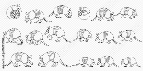 A collection of hand-drawn armadillo illustrations showing the animal in various poses, including walking, sniffing, and curled into a defensive ball.