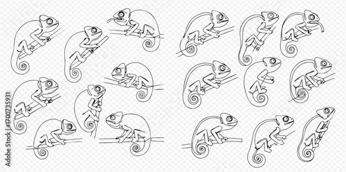 A collection of black and white line art illustrations depicting chameleons in various poses on branches.
