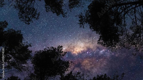 View from earth on Milky Way from forest. Timelapse shot, Earth rotation concept. Camera is zooming in, moving right