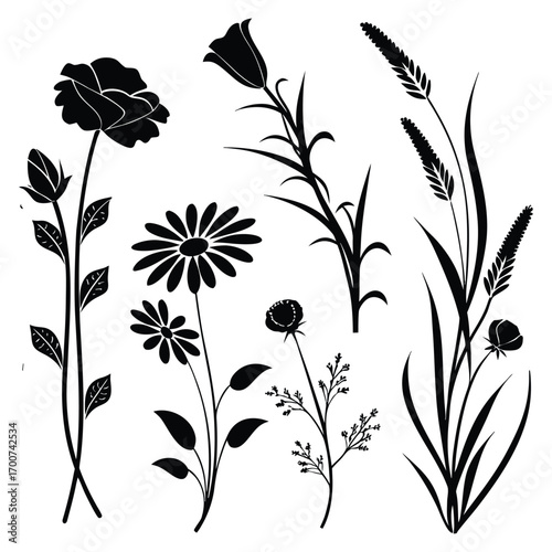 Silhouetted collection of delicate wildflowers and grasses botanical study
