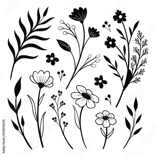 Whimsical black and white floral elements collection for creative design projects
