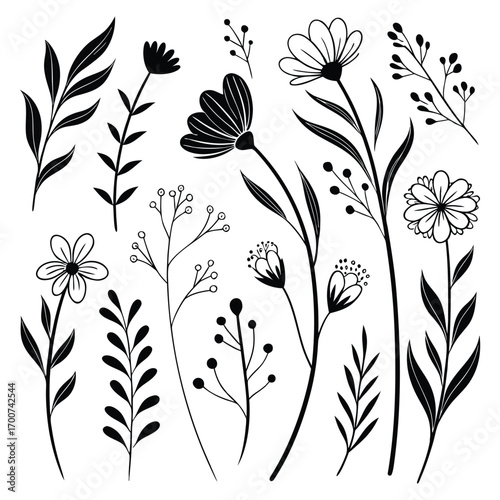 Artistic hand-drawn botanical elements collection featuring flowers and leaves for design projects