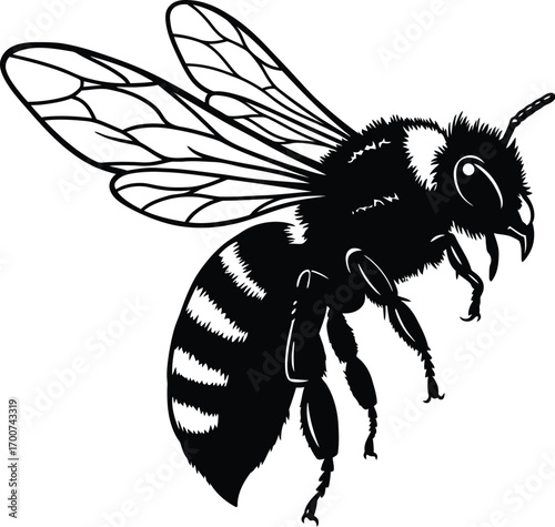 Dynamic black and white bee illustration, perfect for branding, logos, and design projects, showcasing nature's beauty with elegant simplicity