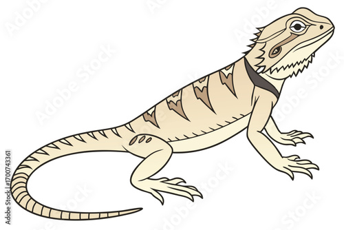 Illustration of a Tan Bearded Dragon with Brown Markings and Black Outline on a White Background Vector Graphic