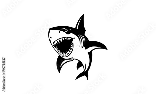 vector silhouette of a fierce shark with an open mouth full of sharp teeth