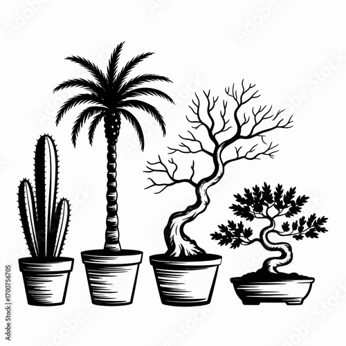 Vector illustration of diverse potted plants including cactus palm and bonsai trees white background