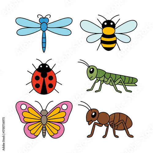 Cute insect vector illustrations dragonflies bees ladybugs butterflies grasshoppers ants white background