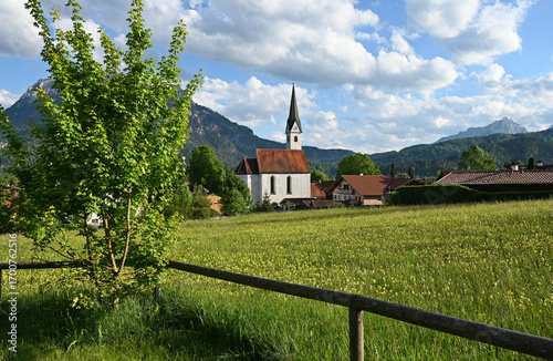 a scenic alpine view with lush green alpine meadows and an old church in the alpine village Schwangau in the Bavarian Alps on a sunny spring day (Allgaeu, Bavaria, Germany)	