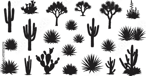 Cactus and desert plant silhouettes, black vector collection, agave, saguaro, yucca, succulent clipart, wild west botanical nature elements
