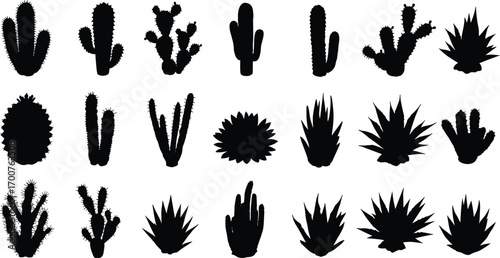 Cactus and succulent plant silhouettes, desert flora illustration, botanical design elements, spiky plants, nature icons, tropical greenery, decorative vector set