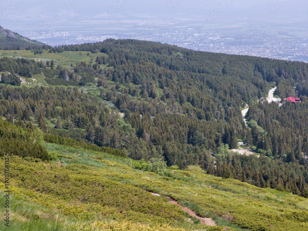 Fototapeta premium Spring Panorama of Vitosha Mountain, Bulgaria