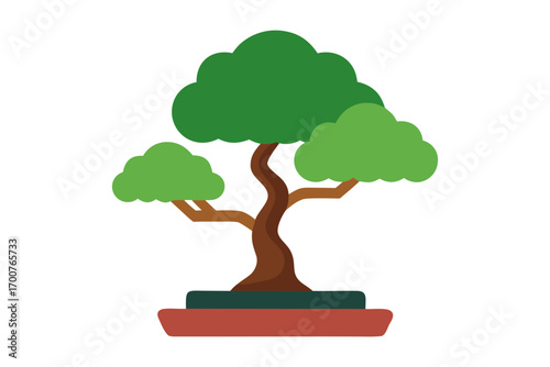 Professional bonsai tree illustration isolated on white background