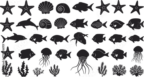 Marine life silhouettes, dolphins, fish, jellyfish, seashells, starfish, seaweed, underwater plants, ocean wildlife illustration, aquatic nature, sea creatures, coastal design