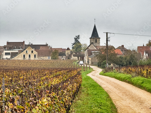 Country Road To Vosne-Romanee