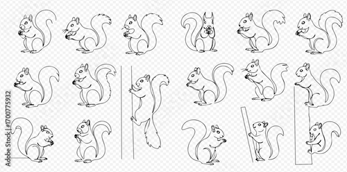 Collection of outlined squirrel illustrations in various poses, including eating, climbing, and standing.