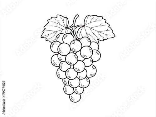 Healthy fruit grapes drawing black and white coloring sheet for kids