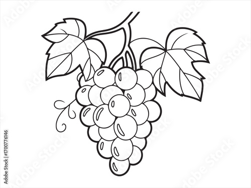 Decorative grape bunch with leaves line art illustration coloring page