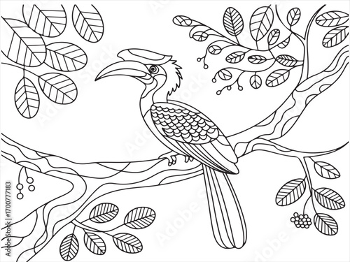 Decorative exotic bird with detailed feathers outline coloring sheet