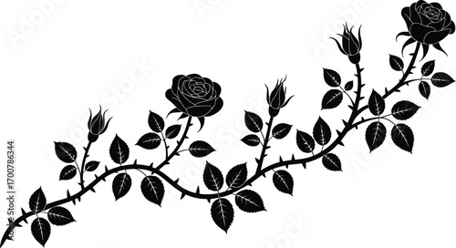 Elegant black rose silhouette with thorns, blooming flowers, floral branch design, decorative botanical artwork, nature inspired vector illustration
