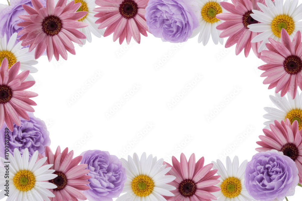 Fototapeta premium Floral frame with pink gerbera daisies, white daisies, and lilac roses on a transparent background. background removed
