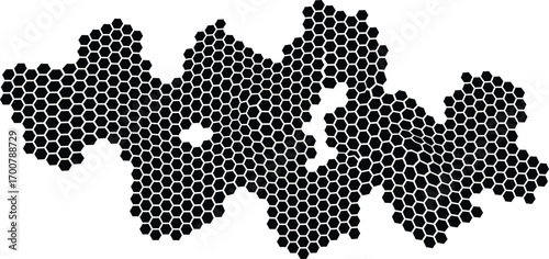 A detailed illustration of a complex, interconnected network of black dots on a white background.