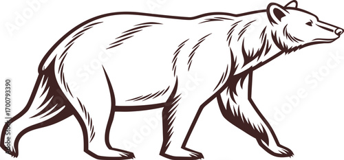 Vintage vector illustration of a walking bear in monochrome style. Detailed wildlife sketch for nature, outdoor, and adventure themes. Perfect for logos, prints, and design projects.