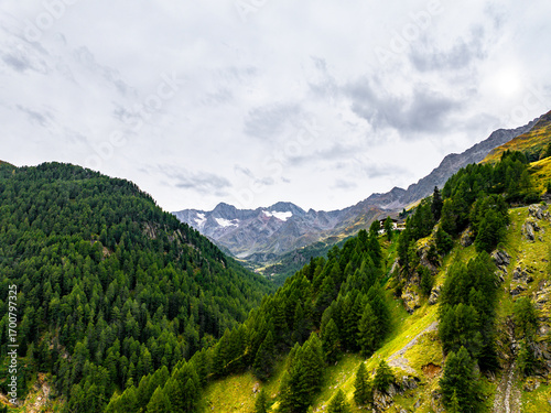 Alpine Landscape of The Area of the Neuschwanstein Castle, Schwangau Germany