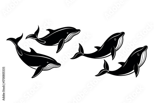 whales swimming gracefully in ocean waters depicted as silhouette