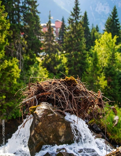 Waterfall cascading over rocks in a lush forest