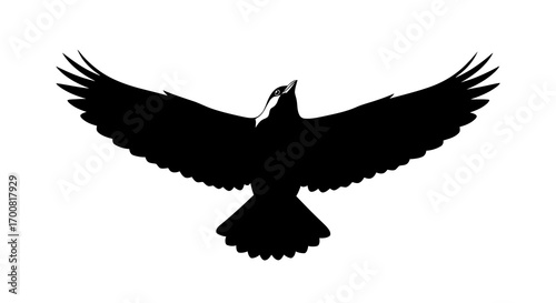 Black bird silhouette with wings spread flying isolated on white background
