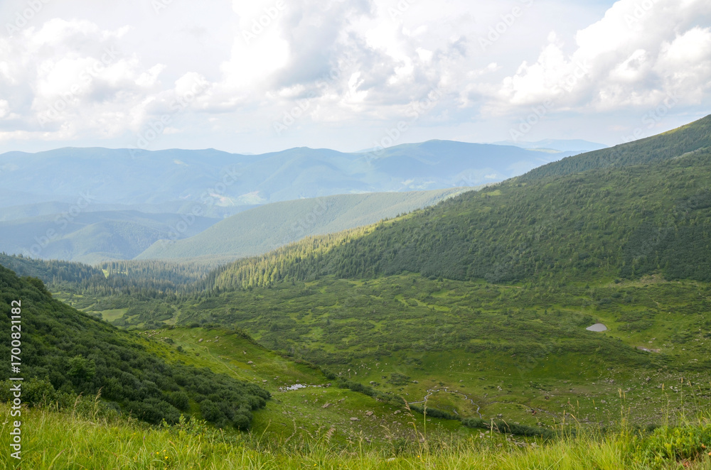 Fototapeta premium Lush green vegetation covers peaceful valley bordered by grassy mountain slopes under cloudy yet bright sky, creating harmonious and tranquil landscape ideal for nature lovers and outdoor enthusiasts