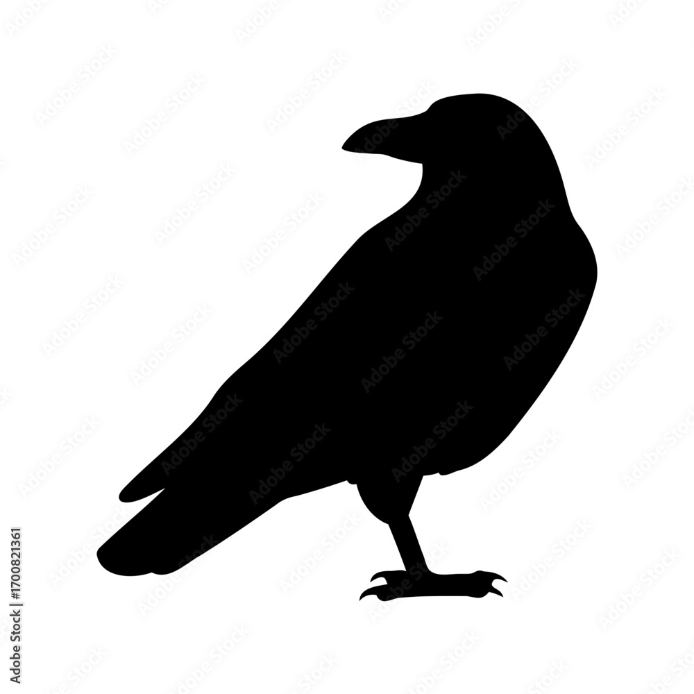 Obraz premium Silhouette of a majestic black raven standing against a stark white background