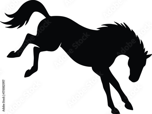 vector silhouette, bucking horse, arched back and kicked hind legs, side view, solid black