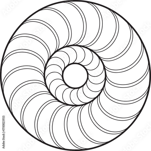 Abstract Nautilus Shell Design with Spiraling Curves on Transparent Backdrop for Art
