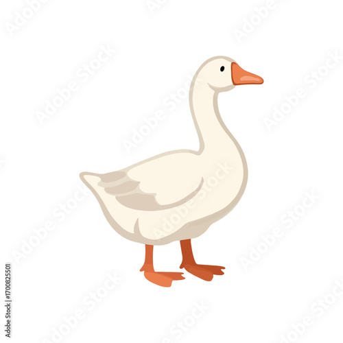 Cute vector illustration of a white goose in a simple style on a white background
