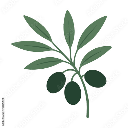 Simple green olive branch with black olives, vector illustration on a white background