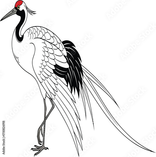 Vector, illustration, Animal, birds, Red-crowned Crane, symbol of longevity and good fortune, East Asia