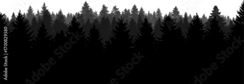 vector silhouette of dark forest tree tops
